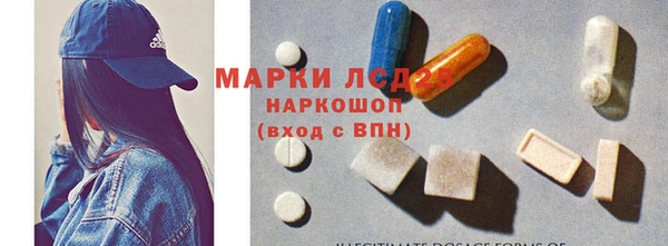 ГАЛЛЮЦИНОГЕННЫЕ ГРИБЫ Беломорск