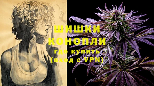 ГАЛЛЮЦИНОГЕННЫЕ ГРИБЫ Беломорск