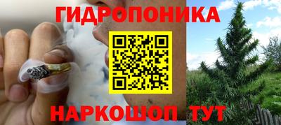 метадон Берёзовский