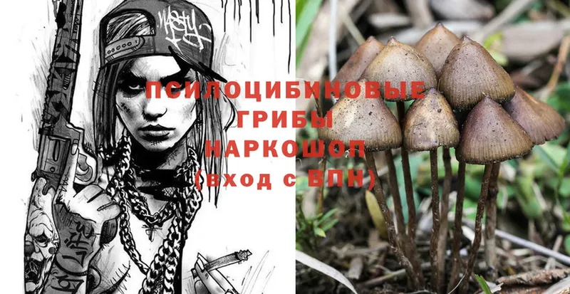 Галлюциногенные грибы MAGIC MUSHROOMS  Благодарный 