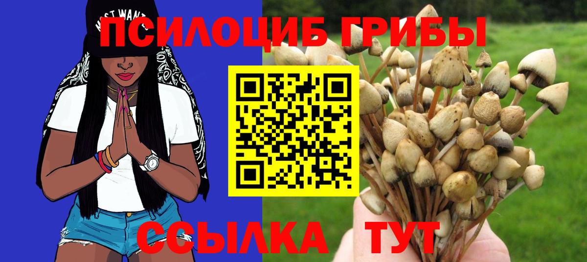 Галлюциногенные грибы Cubensis  Вход с VPN  Псилоцибиновые грибы Psilocybine cubensis  Благодарный 